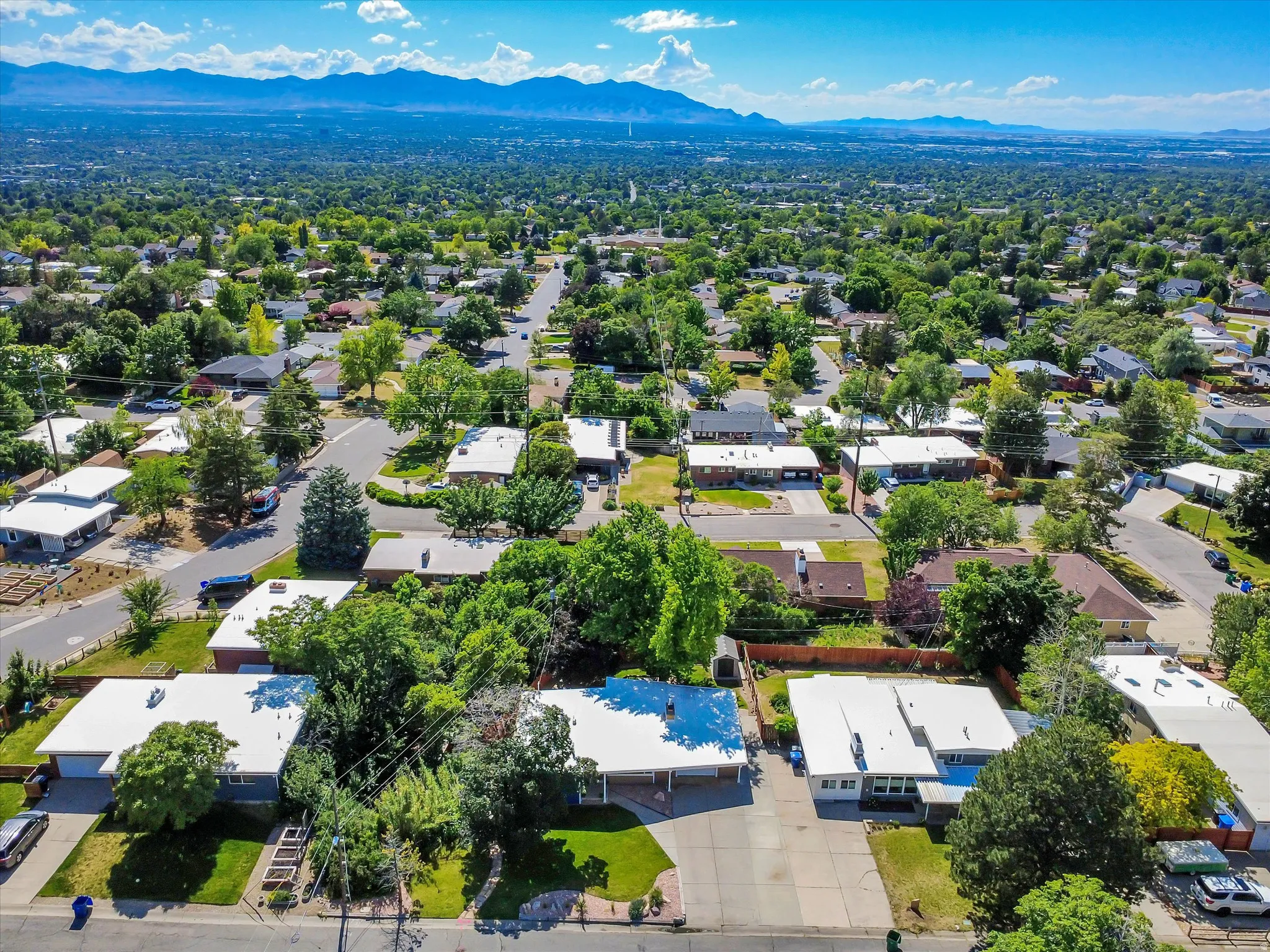 Expansive residential area featuring numerous single-story homes, mature tree coverage, and an extensive mountain range backdrop