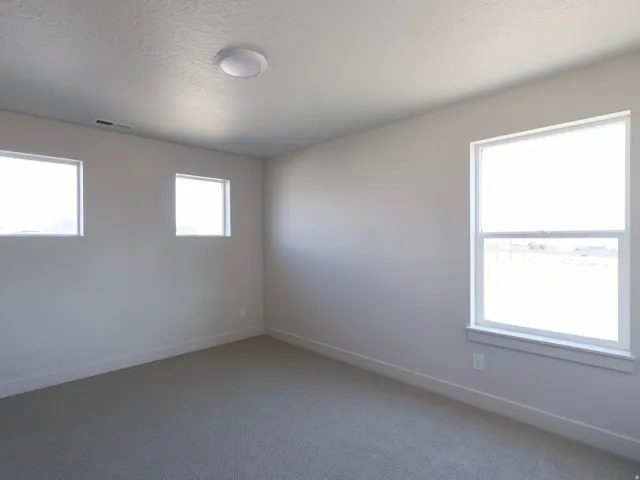 Carpeted flooring, multiple windows, flush mount ceiling light, and neutral wall color