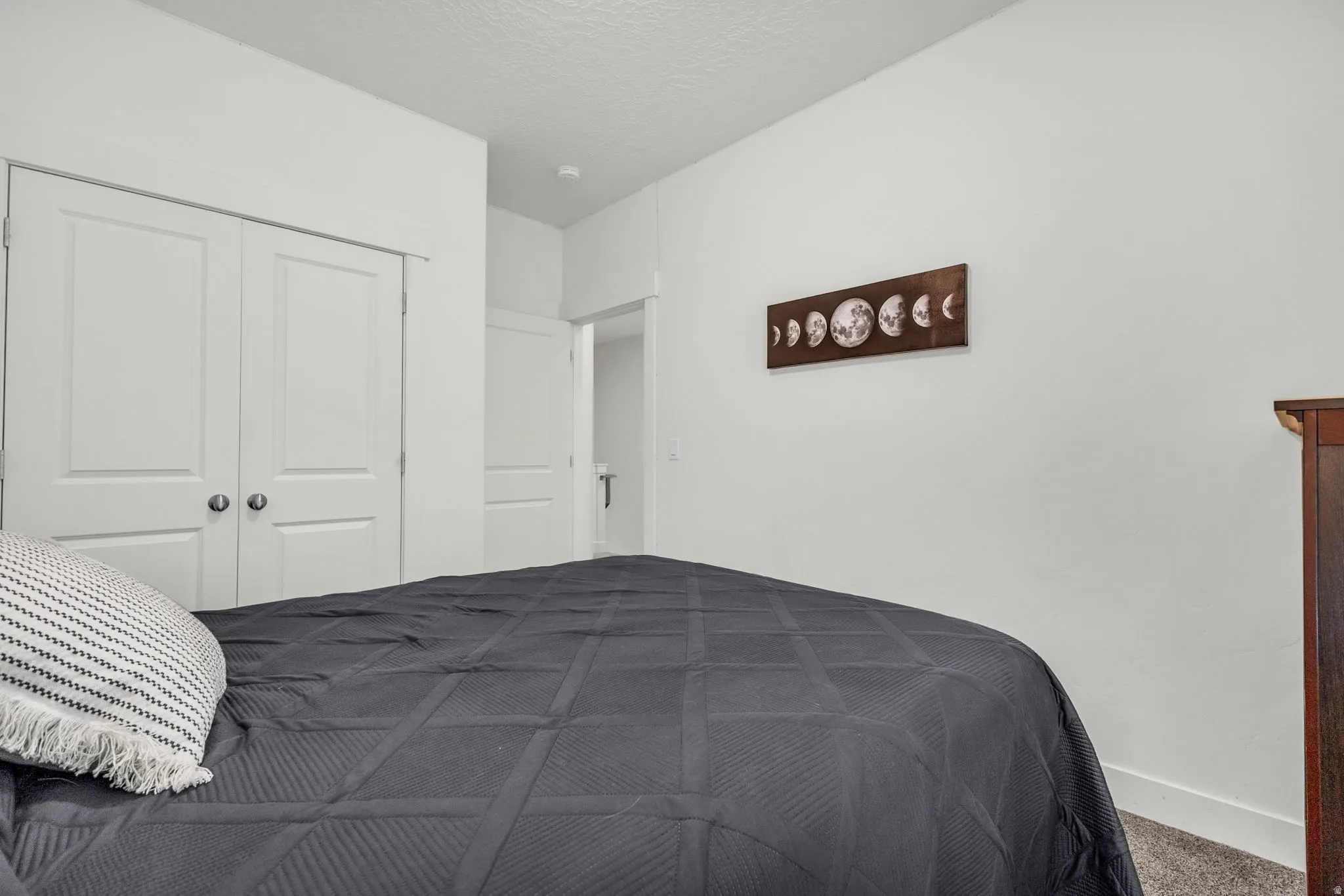 White wall finishes, carpet flooring, and a flat white ceiling