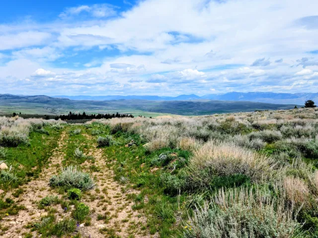 Expansive land featuring a natural dirt path, varied natural vegetation, and distant mountain ranges under a partly cloudy sky