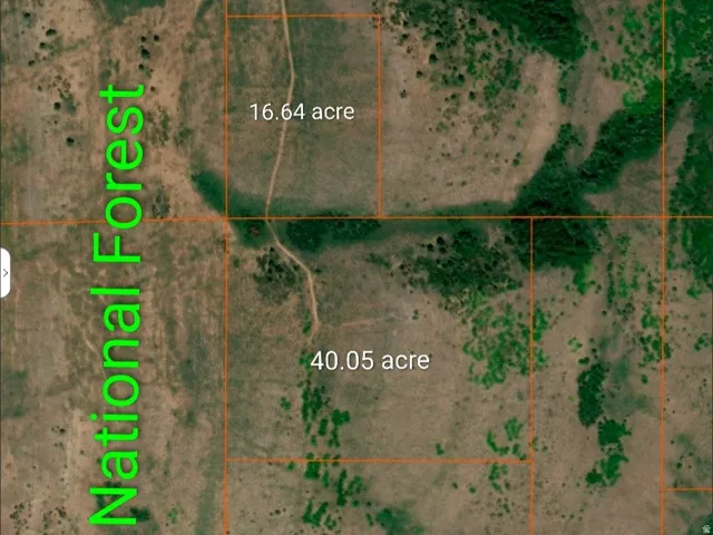 Plat Map. Illustrating property boundaries and acreage