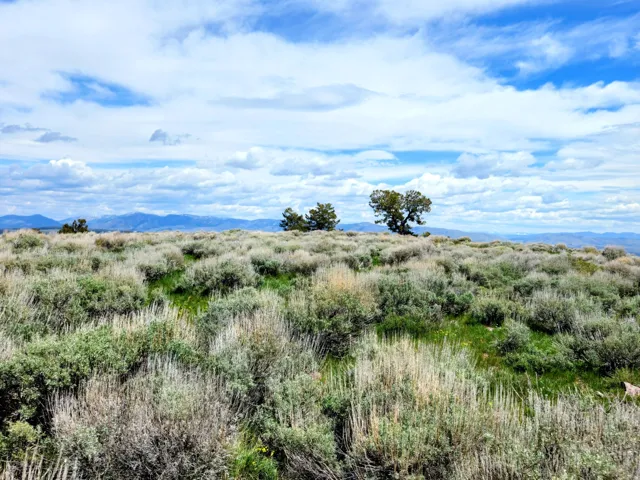 Expansive landscape featuring rolling hills, natural vegetation, scattered trees, and distant mountain ranges under a partly cloudy sky