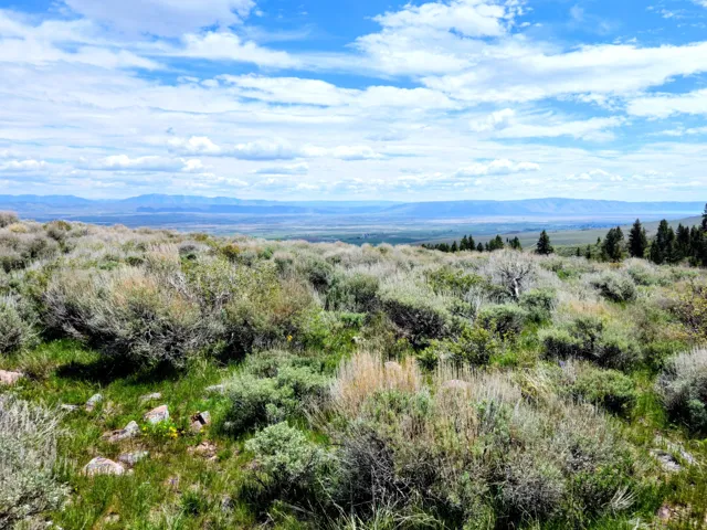 Expansive natural landscape featuring varied shrubbery and green grasses