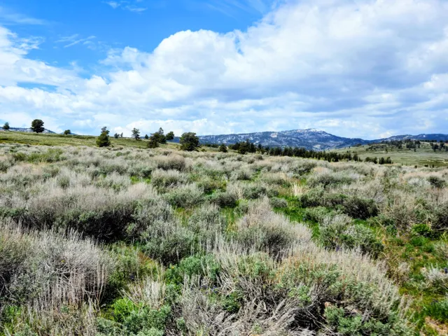 Expansive open land featuring diverse natural vegetation