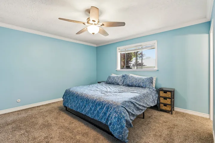 Bedroom featuring light blue walls and brown carpet flooring