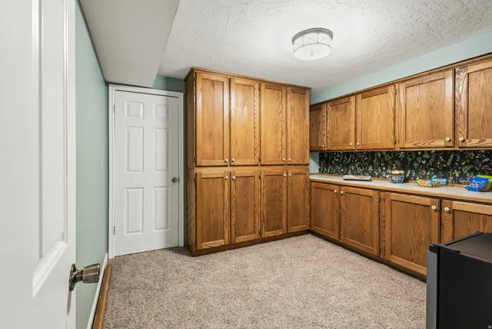 Room featuring extensive wood cabinetry, white countertops, textured ceiling, a flush mount light fixture, and carpet flooring