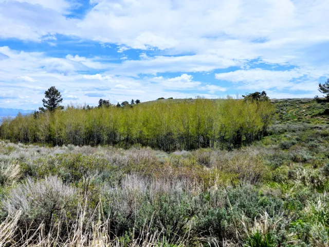 Expansive natural landscape featuring varied terrain