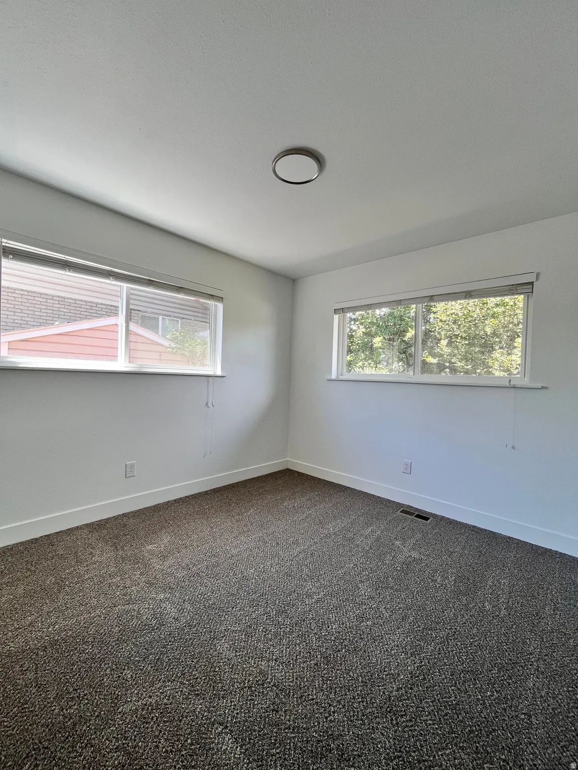Bright room featuring two windows, neutral-toned carpeting, white walls, and a ceiling-mounted light fixture