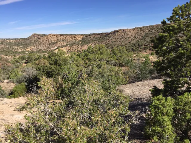 View of mountain background