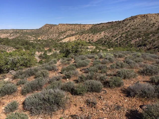 View of mountain background
