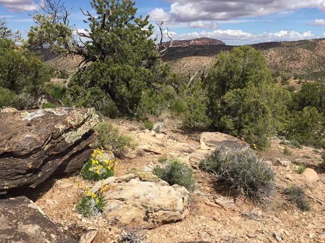 View of mountain backdrop