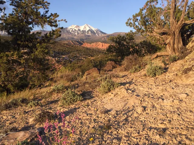 Mountain view