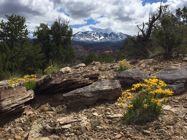 Mountain view