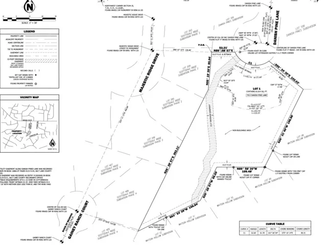 Boundary Survey. Depicting the property's perimeter, features, and relevant legal descriptions
