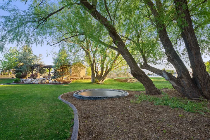 Spacious backyard featuring mature trees, a manicured lawn, and a built-in trampoline