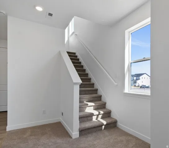 Carpeted staircase with white risers and handrail