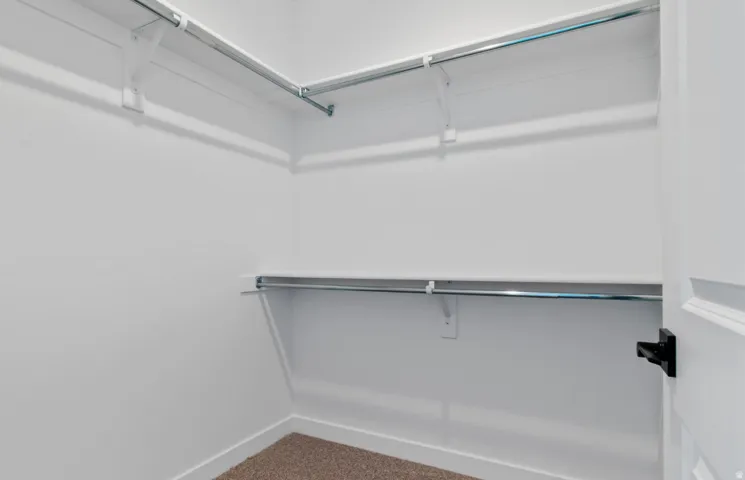 Walk-in closet featuring white walls, white shelving, chrome hanging rods, and neutral-toned carpeting