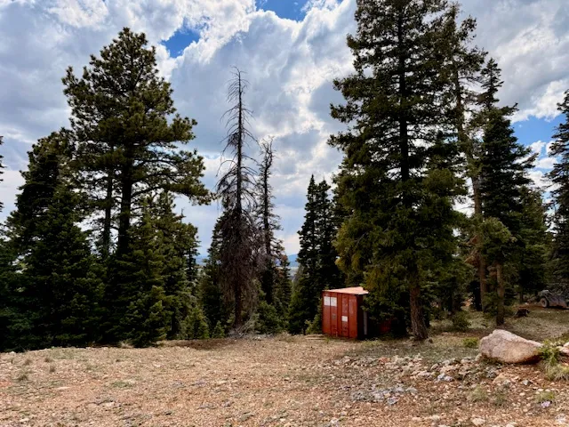 Wooded landscape featuring a red utility shed and mature evergreen trees