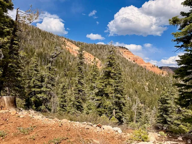 Mountainous terrain featuring abundant evergreen trees