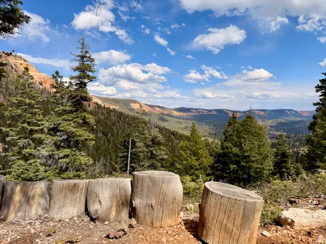 Expansive natural landscape featuring evergreen trees, distant red rock formations, and a bright blue sky with scattered clouds