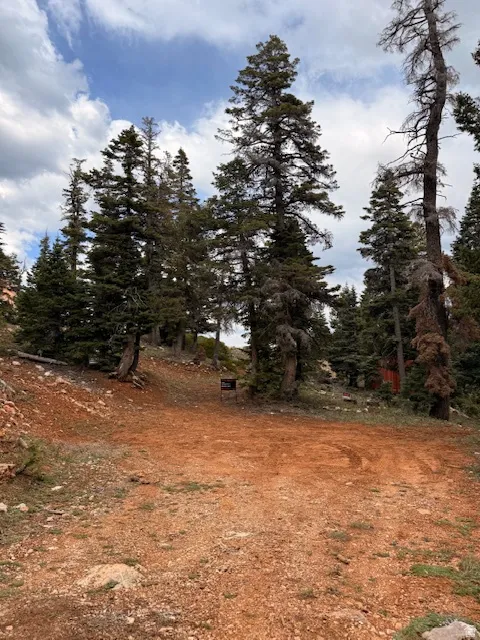 Mountainous terrain with natural red earth, established evergreen trees, and partial ground cover
