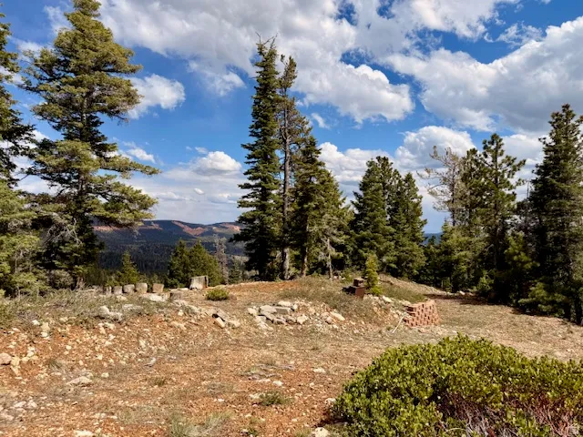 Wooded landscape featuring mature evergreen trees and a distant mountain range under a cloudy sky