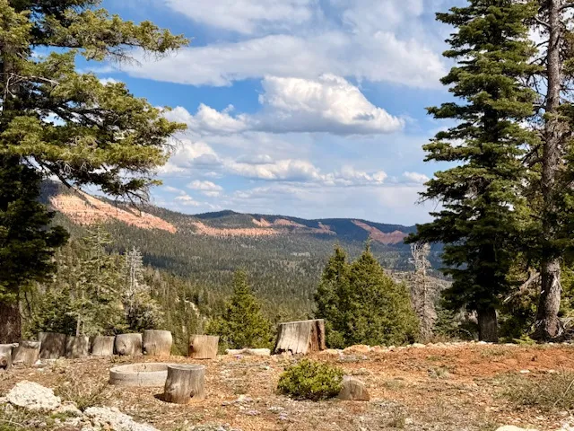 Expansive outdoor space featuring a fire pit, natural tree stump seating, mature evergreen trees, and distant mountain ranges