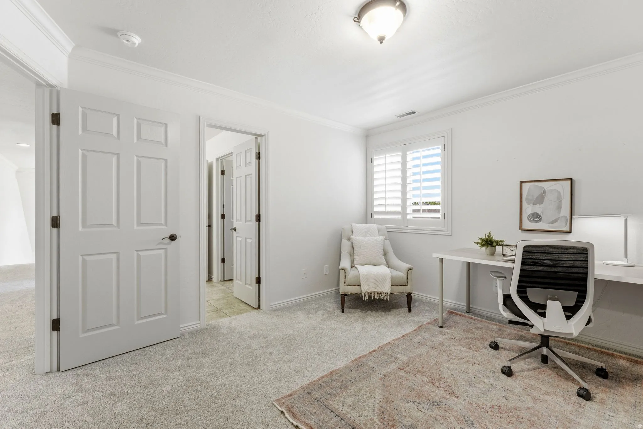 Room featuring plush carpet flooring, white paneled doors, crown molding, and a window with plantation shutters