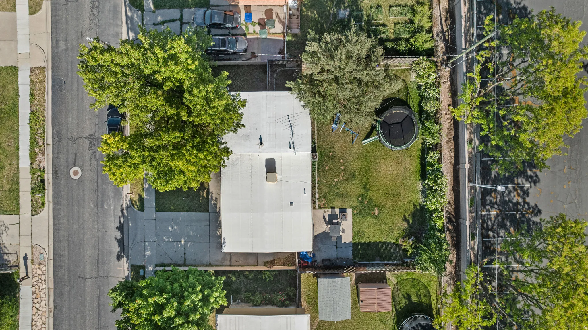 Expansive property featuring a flat roofline, mature trees, a manicured lawn, and a paved driveway