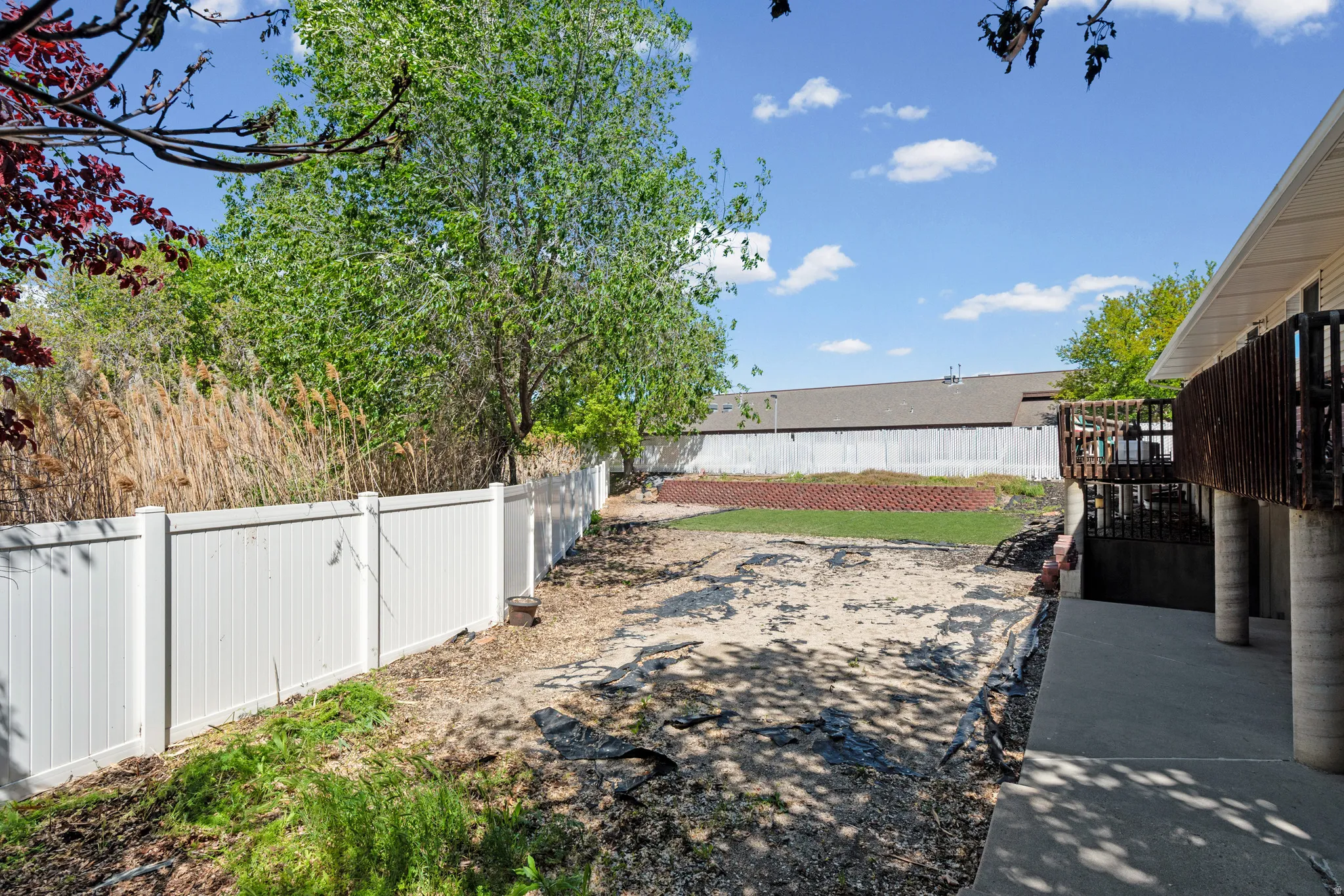 Expansive backyard area featuring a white vinyl fence and mature trees