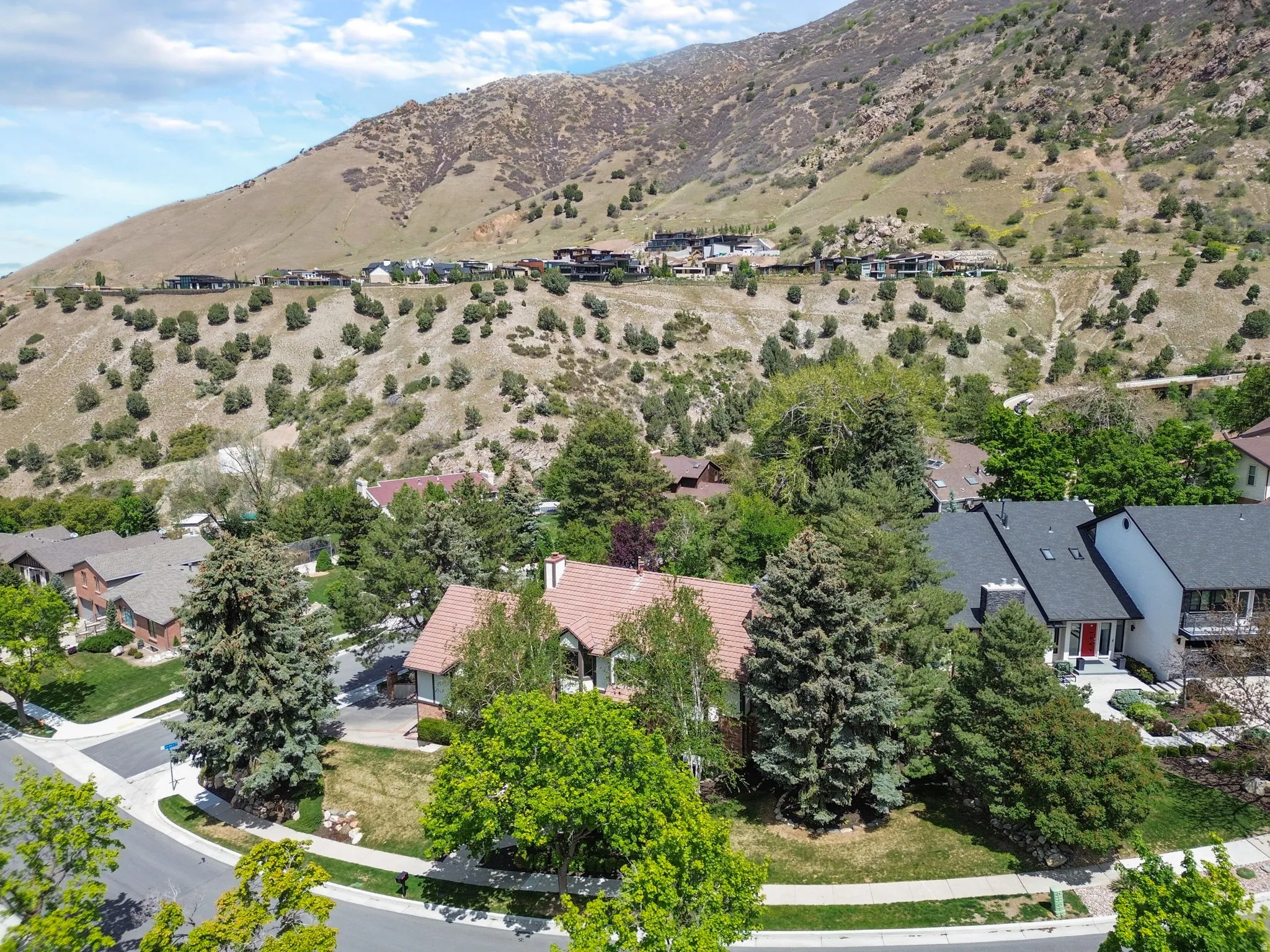 Aerial perspective highlighting a residential property with a terracotta-style roof and surrounding mature trees