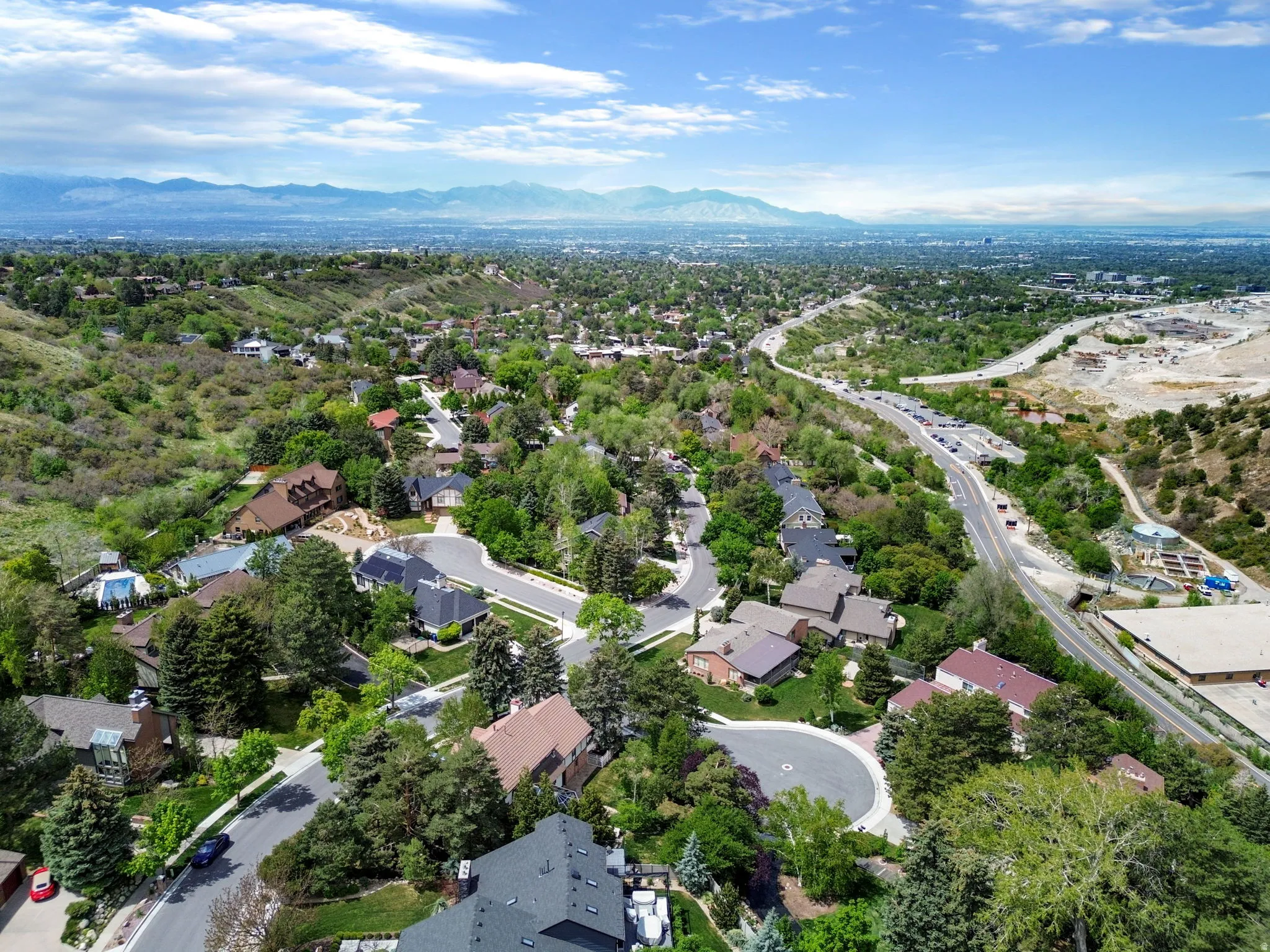 Aerial perspective of a verdant residential area featuring mature trees and established homes