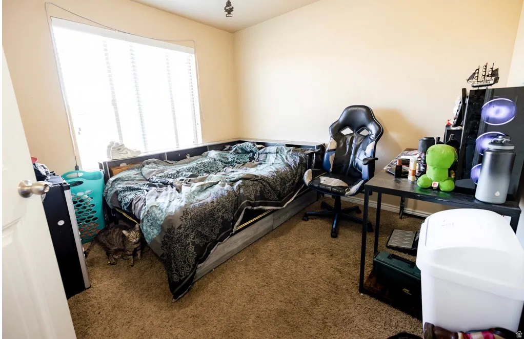 Carpeted bedroom featuring a large window with blinds, a ceiling-mounted light fixture, and neutral wall paint