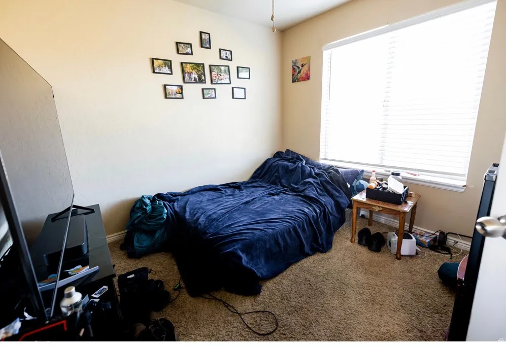 Carpeted room featuring a large window with blinds, neutral wall tones, and a ceiling fan