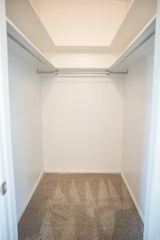 Interior closet featuring neutral-toned carpeting and white walls