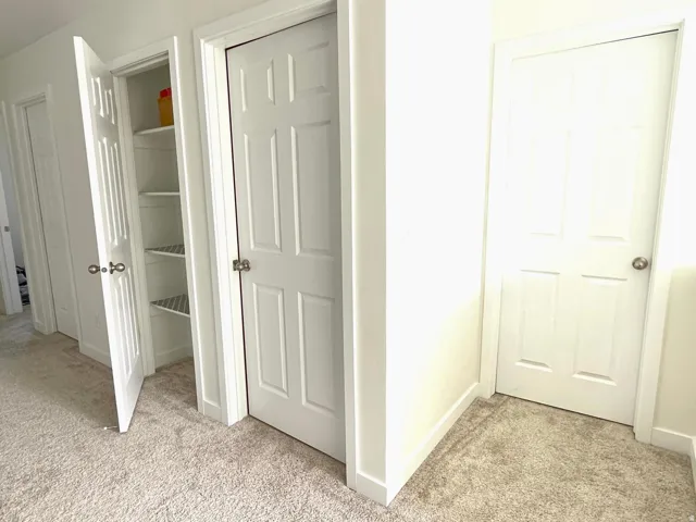 Hallway featuring multiple paneled doors and plush carpet flooring