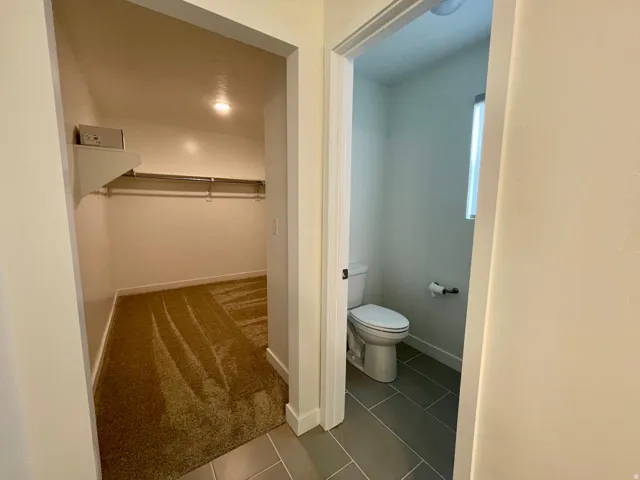Carpeted walk-in closet with built-in shelving, hanging rods, and recessed lighting