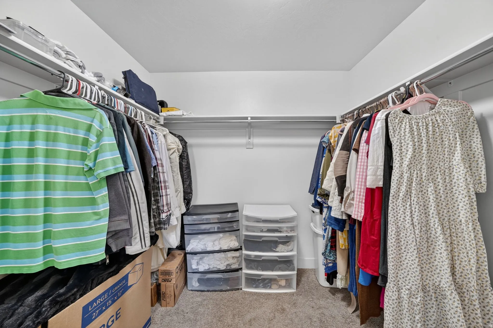 Walk-in closet featuring carpet flooring, white walls, and built-in shelving