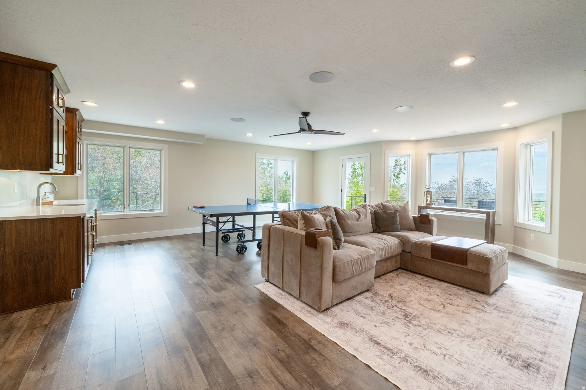 Downstairs family room