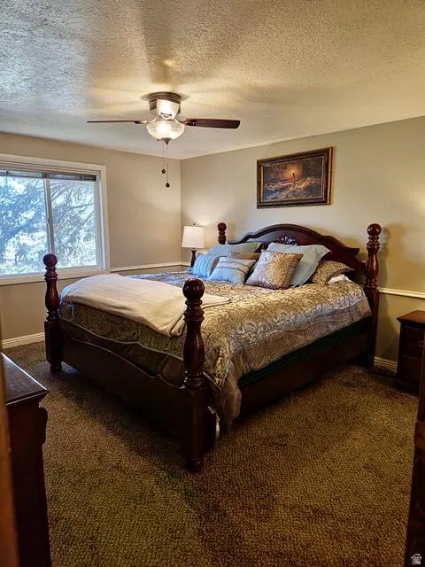 Spacious room featuring broadloom carpeting and a window with a white frame