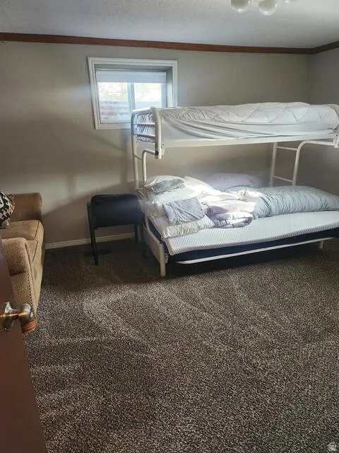 Bedroom featuring neutral wall paint, a single window, and textured carpet flooring