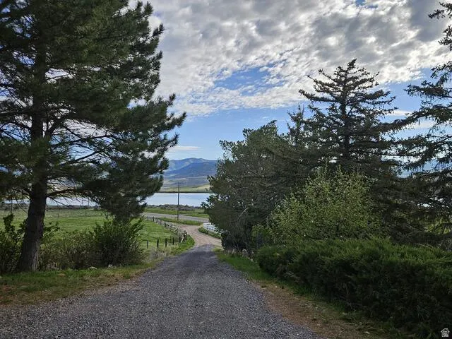 Gravel drive framed by mature evergreen trees, opening to a body of water with distant mountains