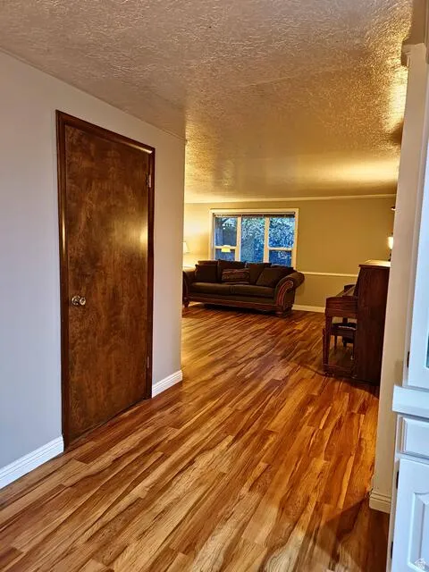 Warm wood-finish flooring extends through this interior space, complemented by light gray walls and white baseboards