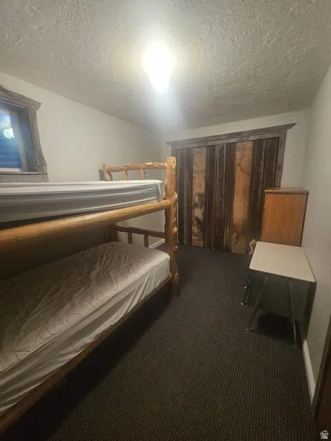 Carpeted room featuring a built-in closet with vertical plank doors, textured ceiling, and a window with blinds