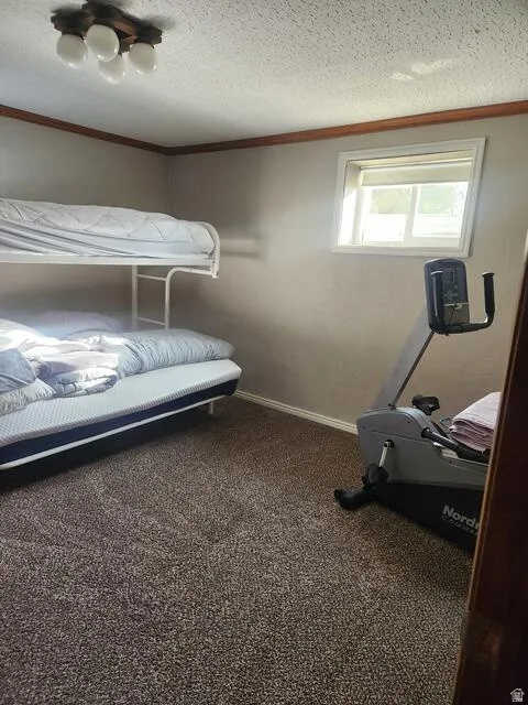 Room featuring a neutral carpet, white baseboards, and a window with white trim