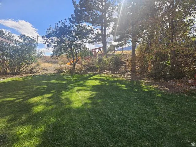 Expansive green lawn with mature trees and natural landscaping