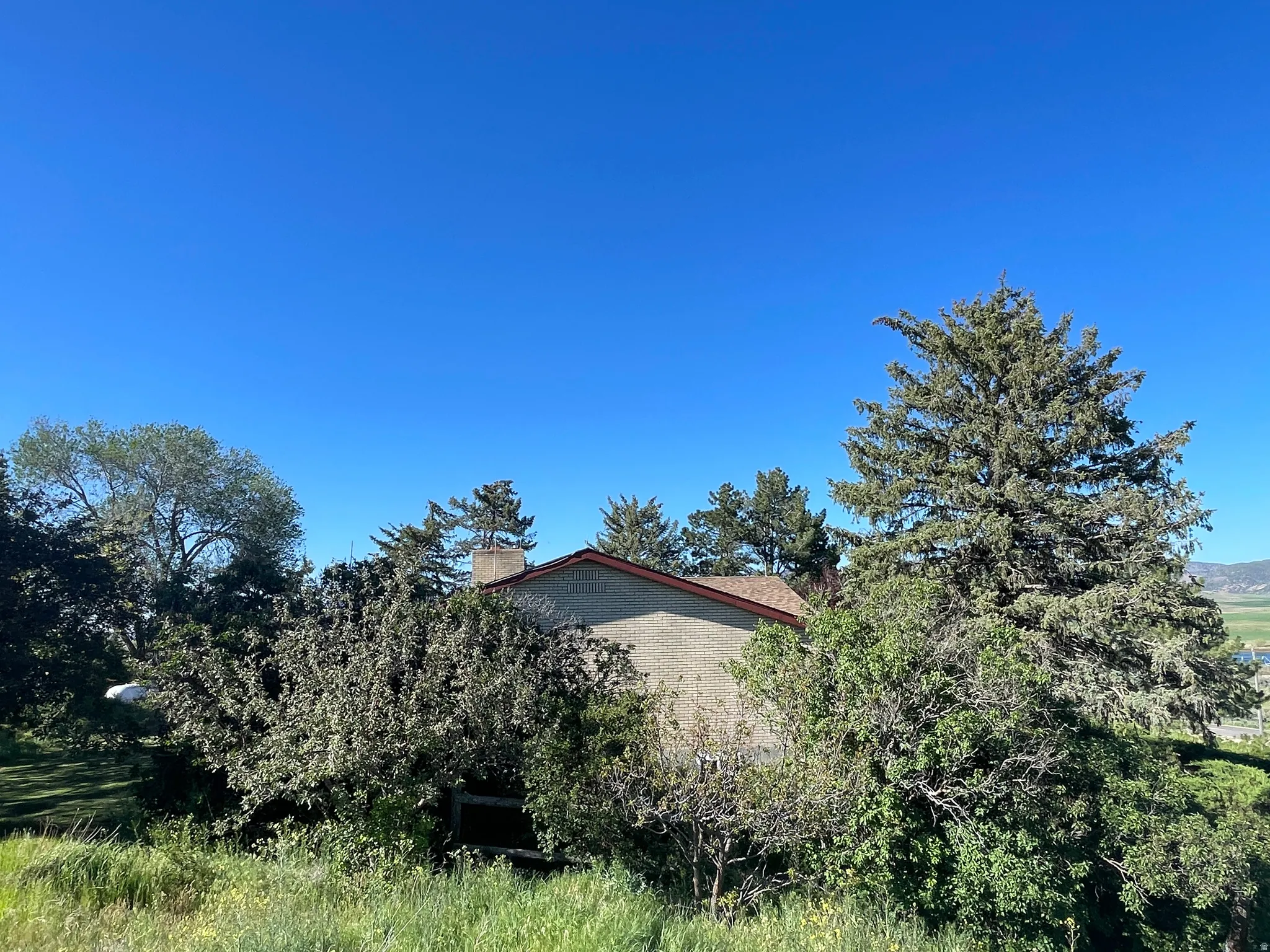 Stucco exterior with a pitched roof and visible chimney, complemented by mature evergreen and deciduous trees