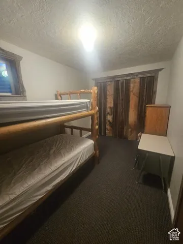 Carpeted room featuring a built-in closet with vertical plank doors, textured ceiling, and a window with blinds