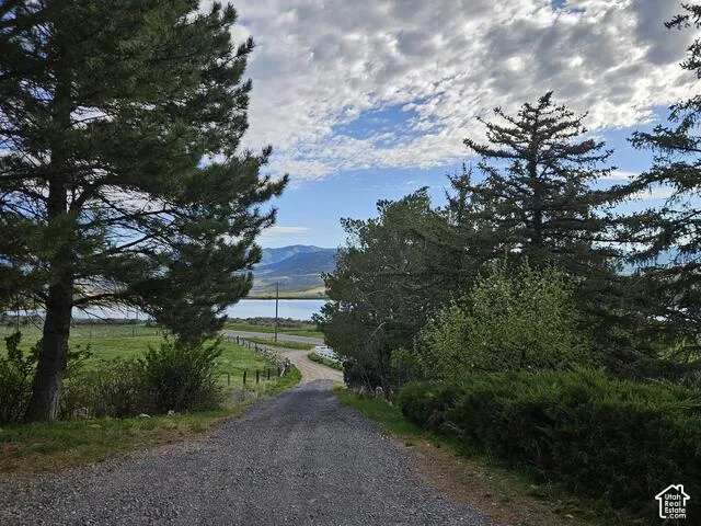 Gravel drive framed by mature evergreen trees, opening to a body of water with distant mountains