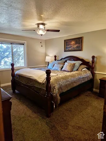 Spacious room featuring broadloom carpeting and a window with a white frame
